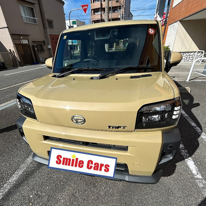 画像256