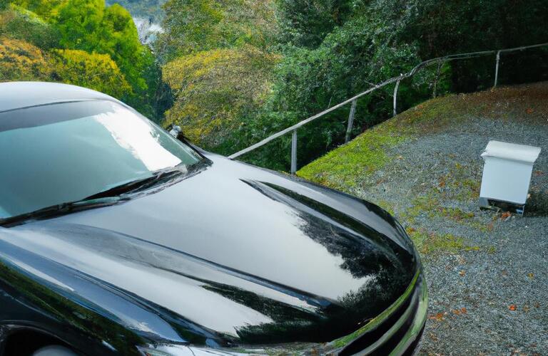 箕面の自然と共に中古車を査定しよう！